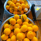 Addy's Meyer Lemon Marmalade - limited batched