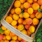Addy's Apricot, Lemon, Vanilla Bean Jam limited batched