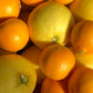 Addy's Mixed Citrus Marmalade